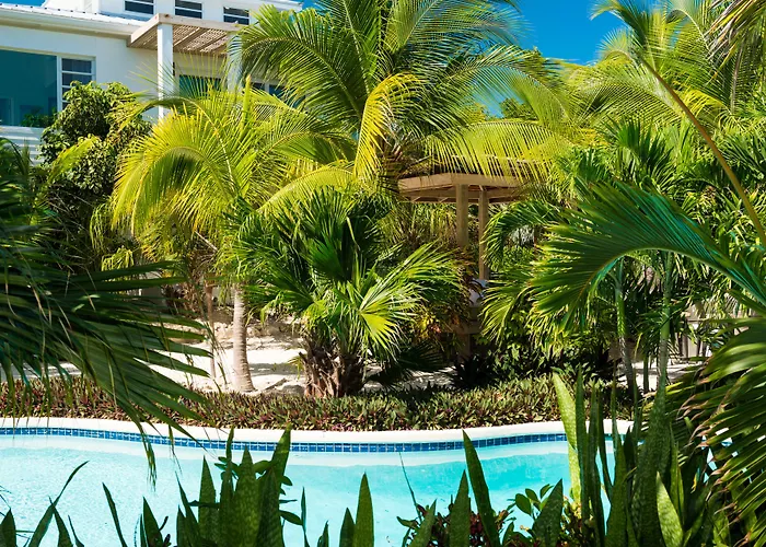 The Oasis At Grace Bay