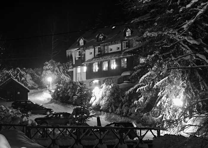 Hotel Konsel
