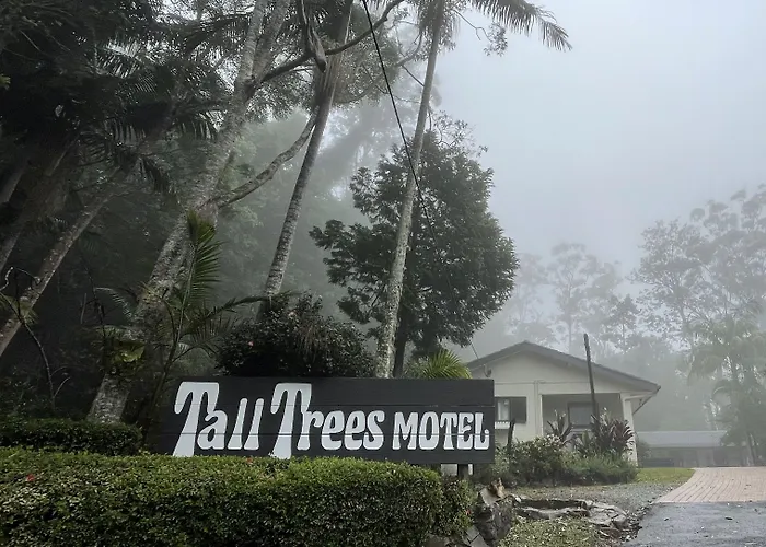 Tall Trees Motel Mountain Retreat Mount Tamborine