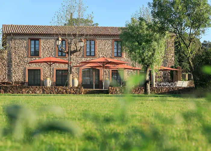 Château Saint Roux Le Luc-Le Cannet des Maures