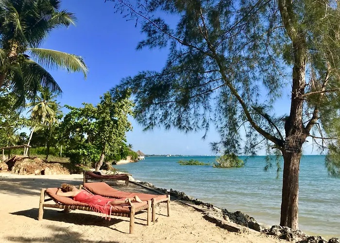 Mangrove Lodge