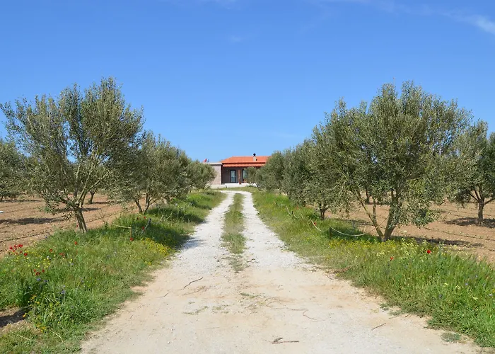 Le Petit Hotel Ve Bag Evi
