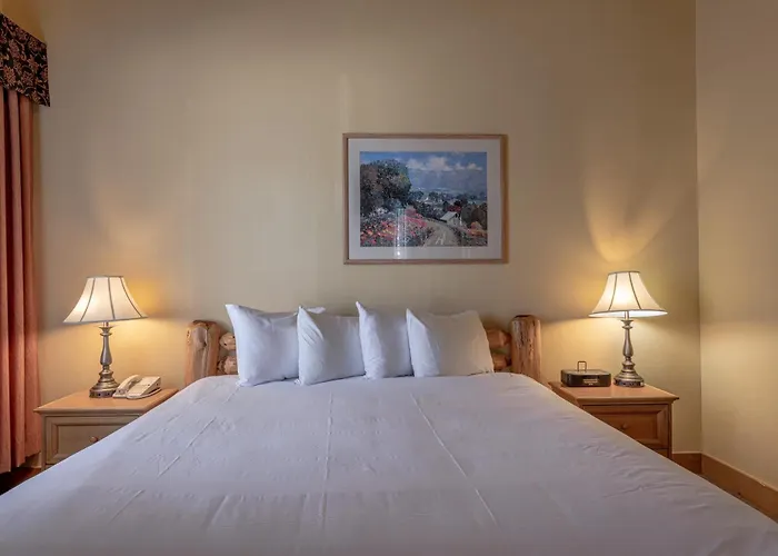 Cozy Pet-Friendly King Studio In Mt, Crested Butte Condo