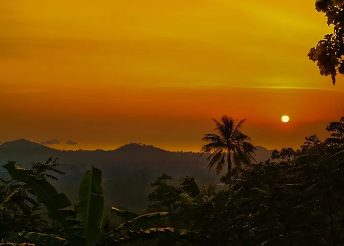 Sz Samui Glamping