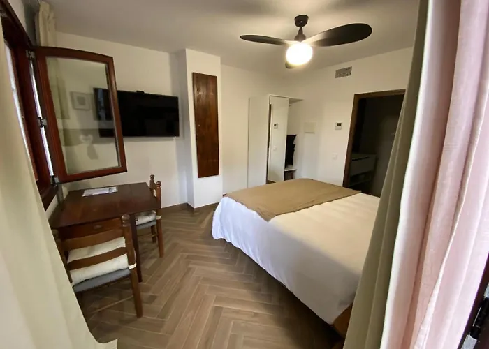 B&B Premium