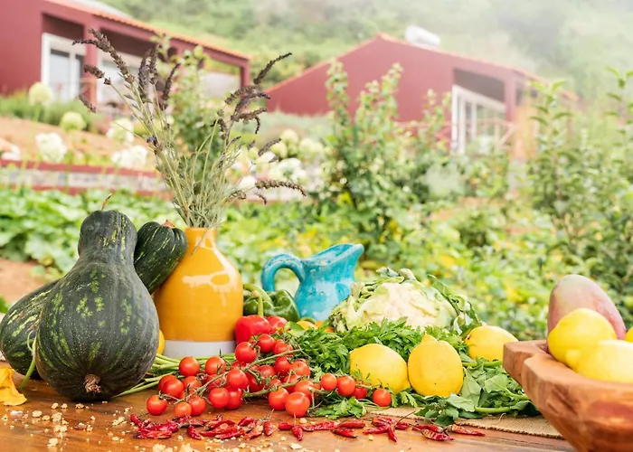 Yeotown Madeira Wellness Hotel And Nature Stay