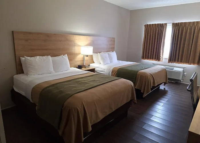 Edn Hotel Lincoln