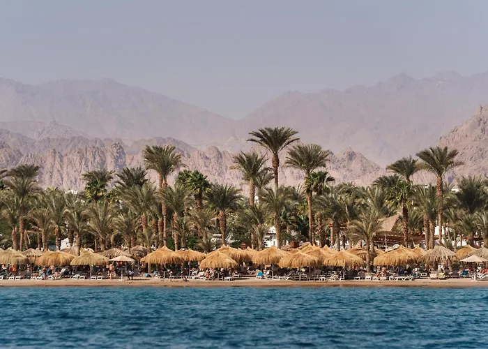 Jaz Sharm Dreams