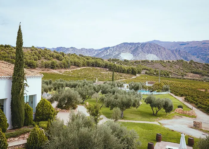 Hotel&Winery Señorío de Nevada