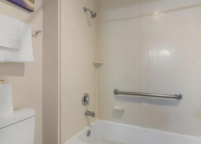 Hom Hotel Gainesville, Surestay Collection By Best Western