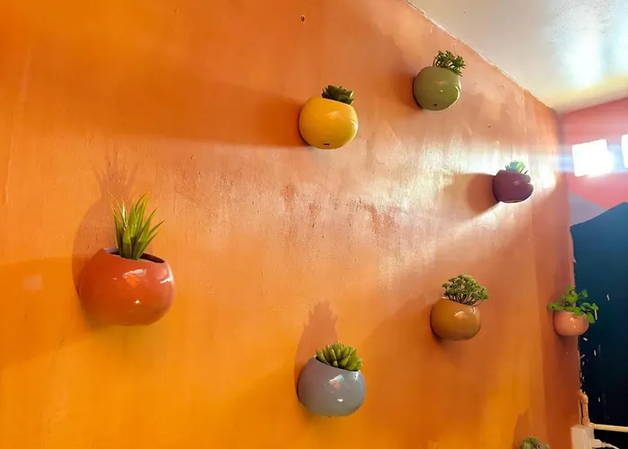 Hotel Anauco