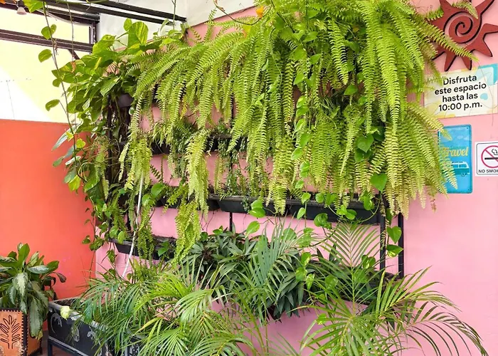Hotel Anauco