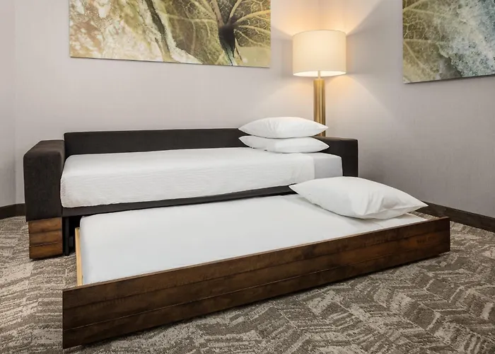 Springhill Suites By Marriott Eau Claire