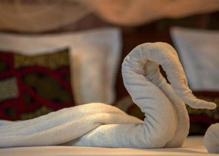 Treasures Of Zanzibar House