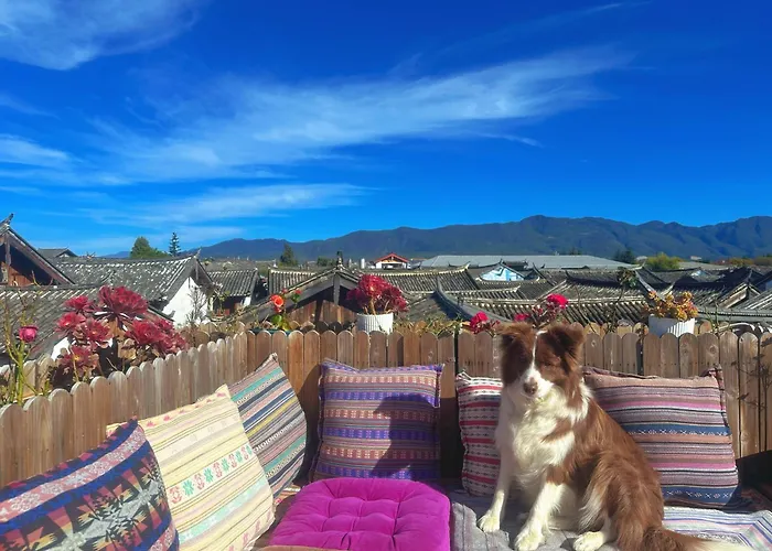 Yiyuan Snow Mountain View Historical Naxi House - Lijiang Old Town Mufu Branch - English Service And Tour Arrangement