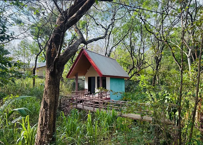 Zora Resort
