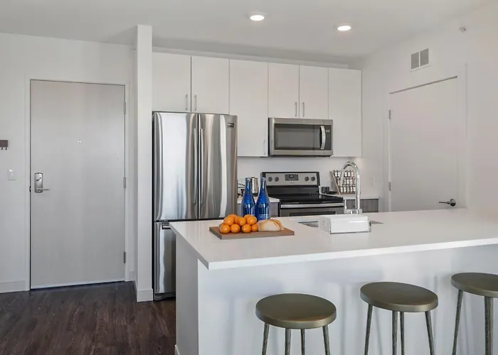 Hyatus Luxury Residences Boston South Bay Designer Collection
