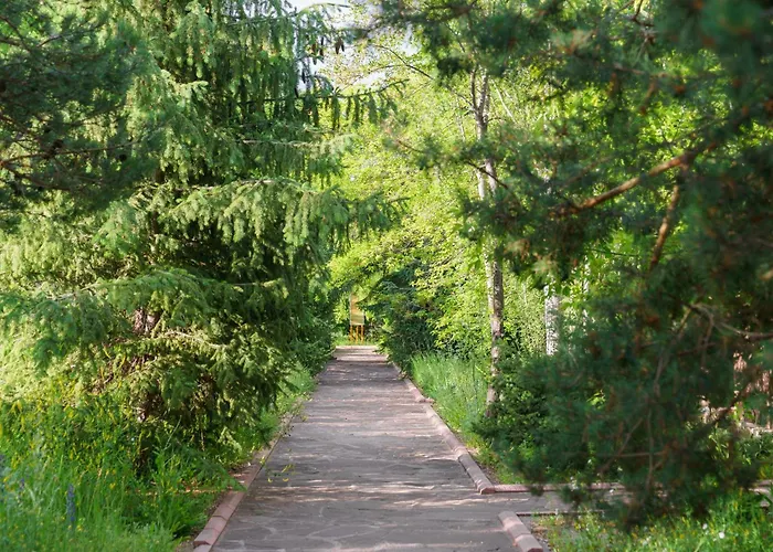 Коворкинг-Резорт Ololoakjol