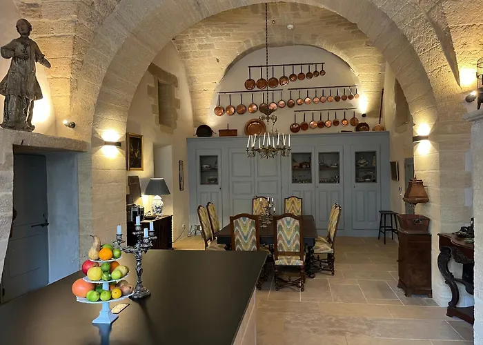 Château de Collias