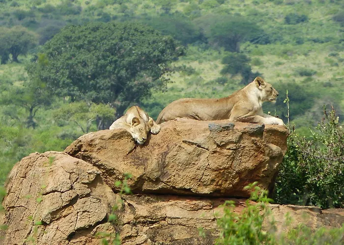 Tausa Tsavo Eco Lodge
