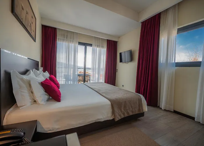 Hotel Sao Pedro - Arouca
