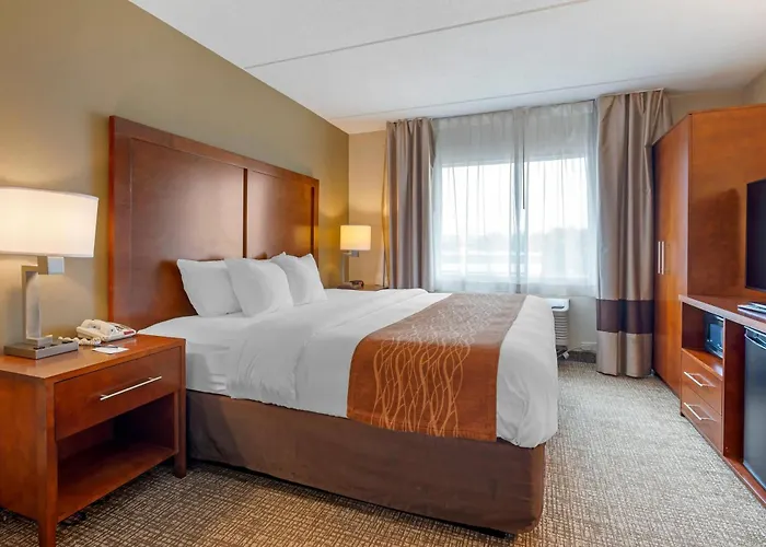 Comfort Inn & Suites Wilkes Barre - Arena