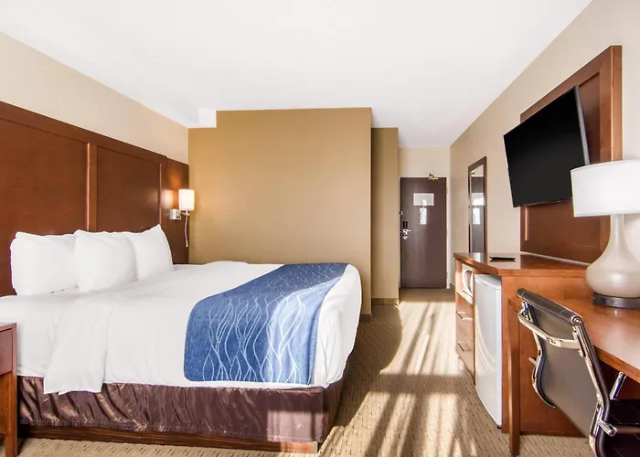Comfort Inn & Suites Medicine Hat Shopping Centre