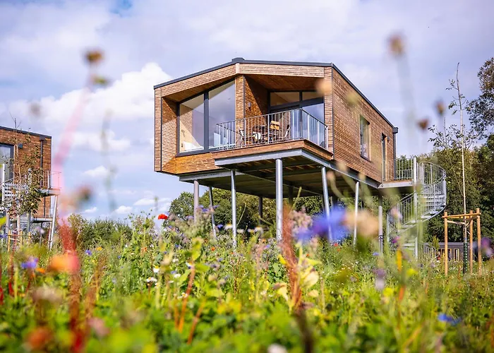 Ostsee Baumhaushotel - Auf Höhe der Baumkronen