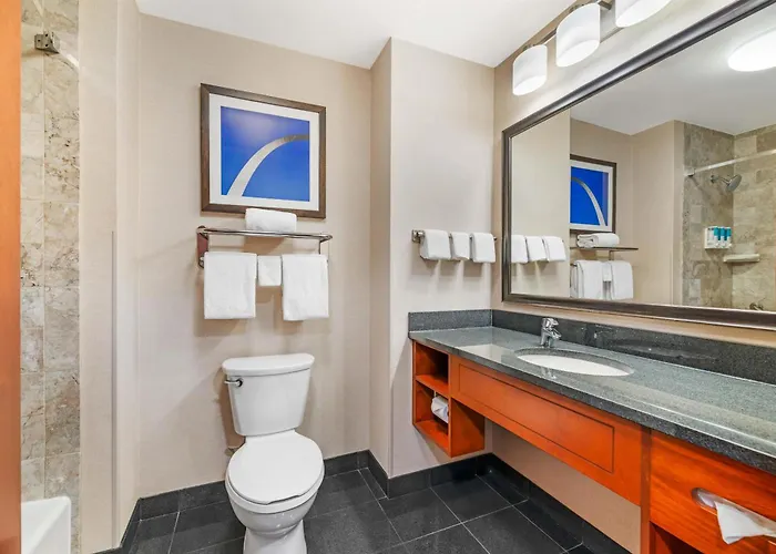 Drury Plaza Hotel St Louis Brentwood
