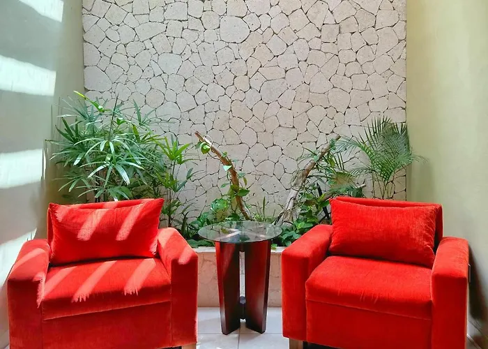 Hotel Casa Colonial Cozumel-Dog Friendly