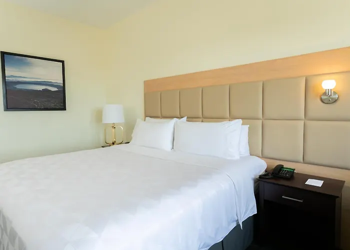 Holiday Inn San Salvador By Ihg