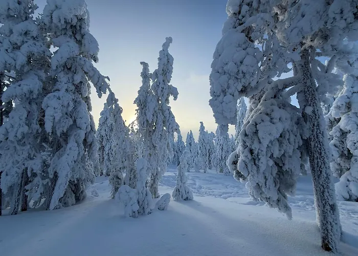 Arctic Panorama Resort