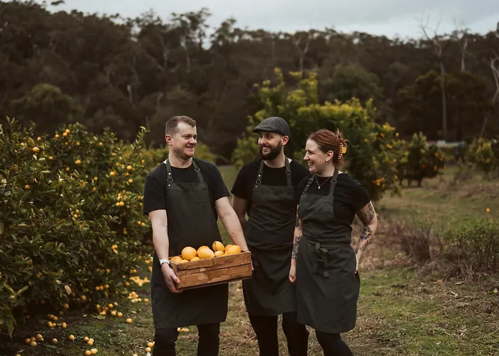 Yarra Valley Lodge