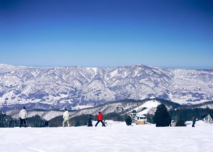 蔕 Heta Nozawa Onsen