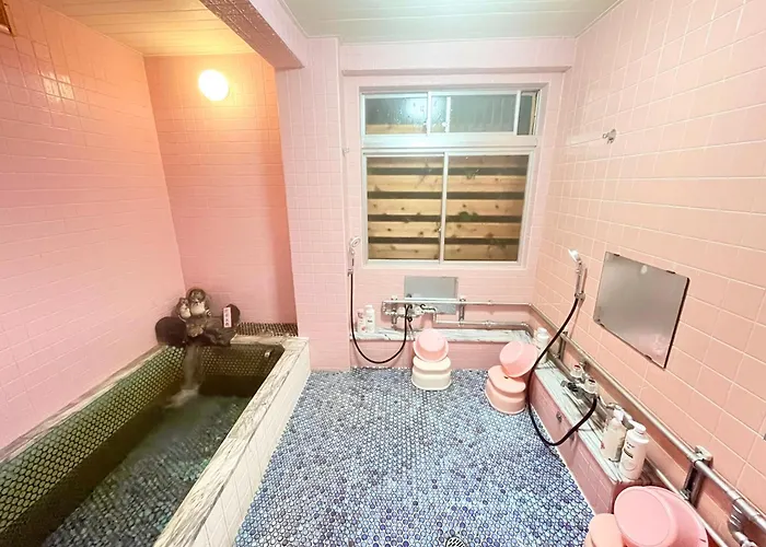 戸狩野沢スノーパークプラザsnow Park Plaza