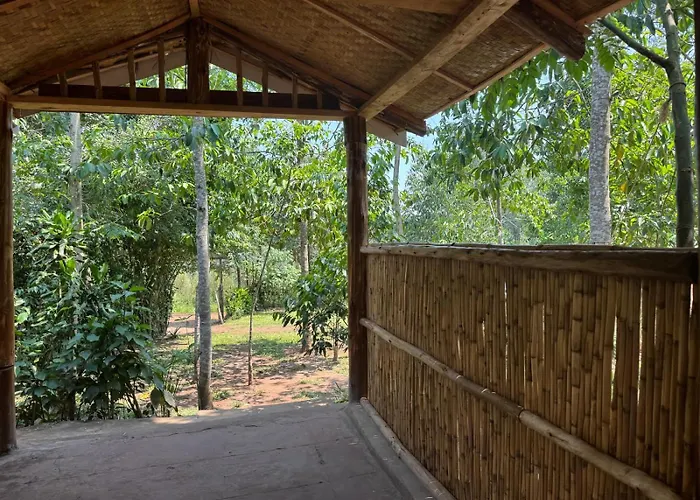 Little Monkey Camp