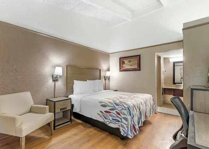 Red Roof Inn Tampa Bay - St. Petersburg