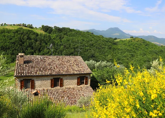 Podere le Serre