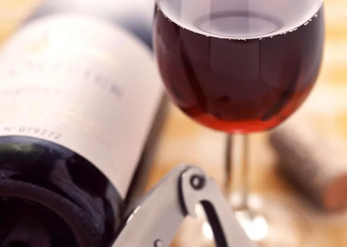 Ibis Lyon Villefranche Sur Saone