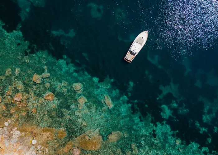 Il Pellicano