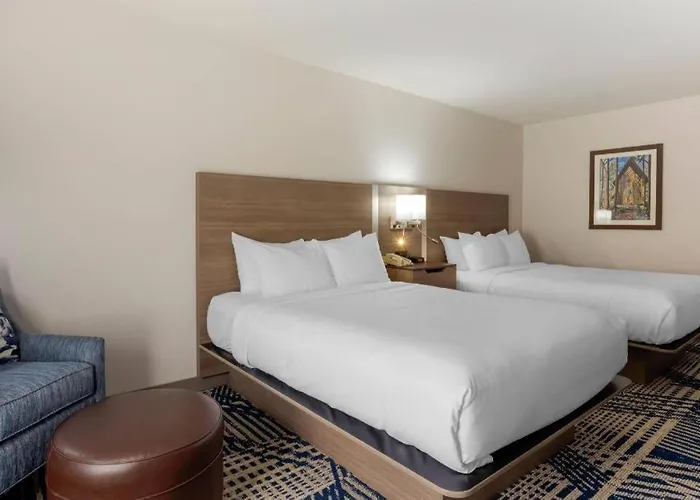 Comfort Inn & Suites Hot Springs Midtown