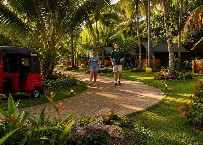 Coco Forest Camping Resort - Eco Friendly Luxury Glamping & Farm Stay Villa