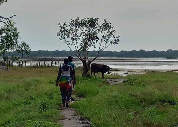 Rastacounda - Eco Lodge & Restaurant- Casamance
