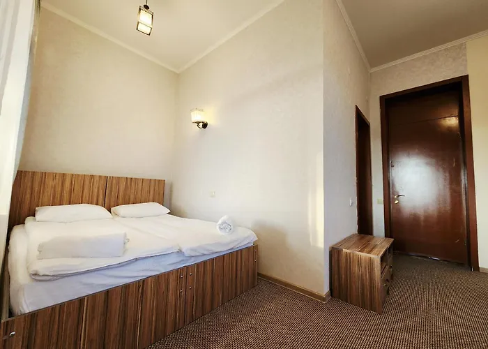 Hotel Salkhino