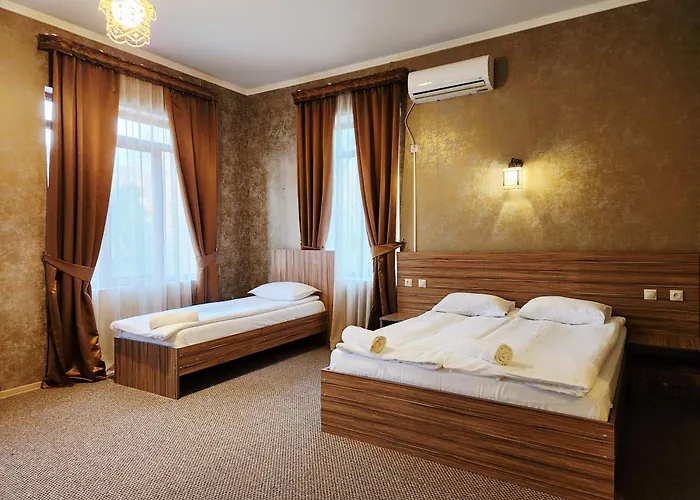 Hotel Salkhino