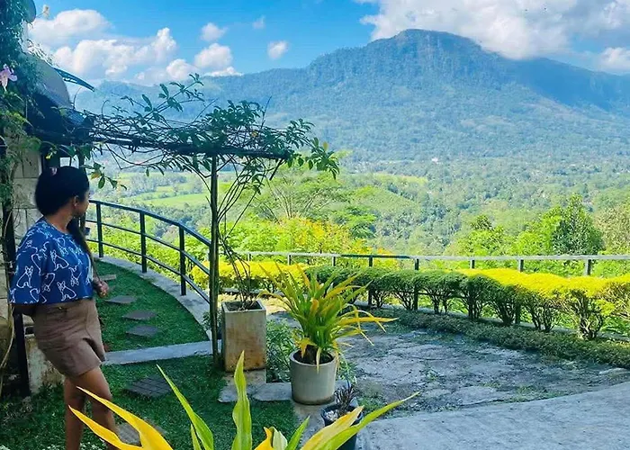 Terrace Cinnamon View