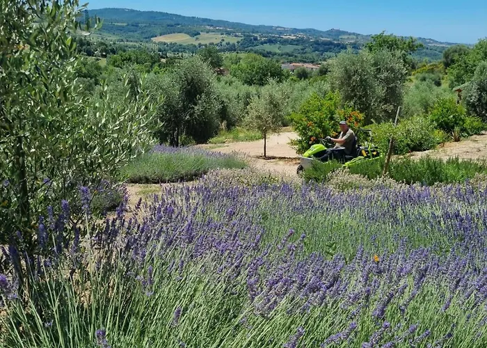 Casale Terre Rosse Garden