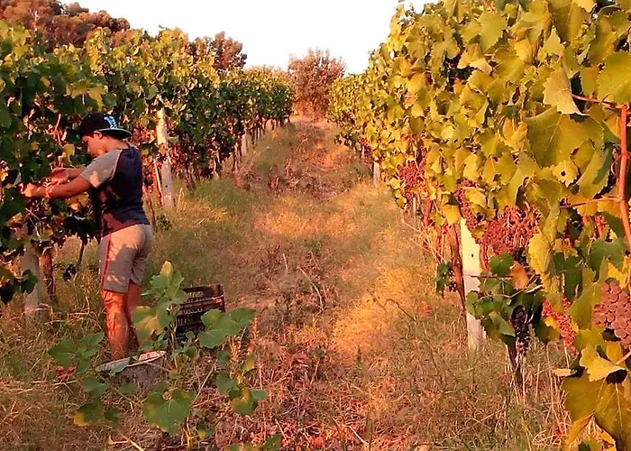 Agriturismo Feudo Gagliardi