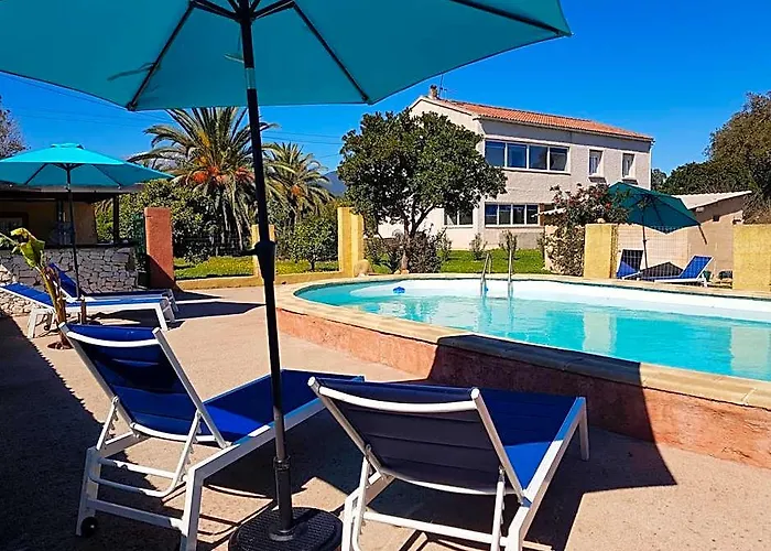 Villa Giorgha 15 Pers 1 Km De La Mer Jardin 5000M2