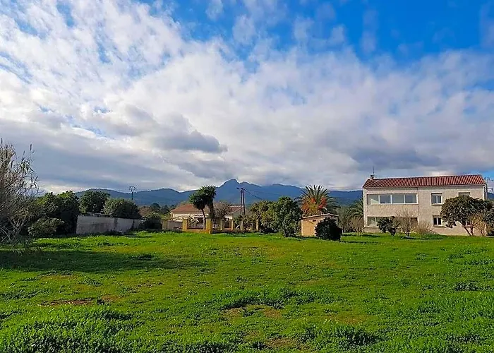 Villa Giorgha 15 Pers 1 Km De La Mer Jardin 5000M2
